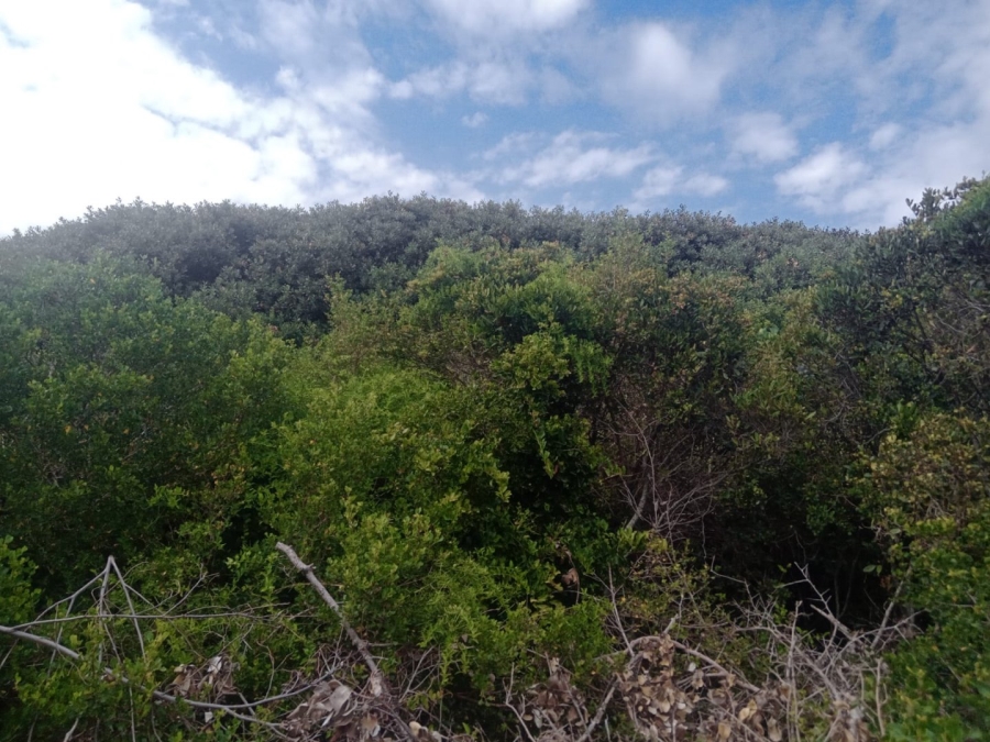 Commercial Property for Sale in Paradise Beach Eastern Cape